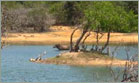 yala village observation deck