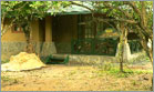yala village hotel jungle cabana