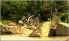 yala village 360 degree view