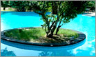 yala village hotel swimming pool