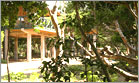 yala village jungle cabana side view